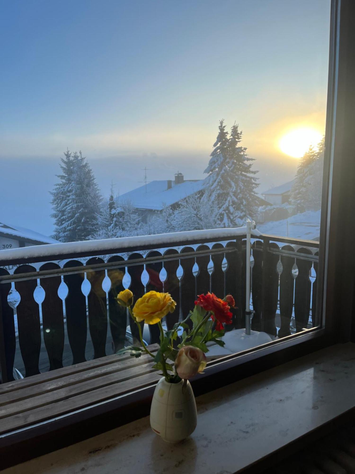 Helle Wohnung Mit Grossem Balkon Оберойте Екстериор снимка